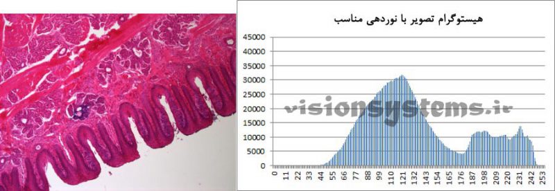 هیستوگرام تصویر با نوردهی مناسب