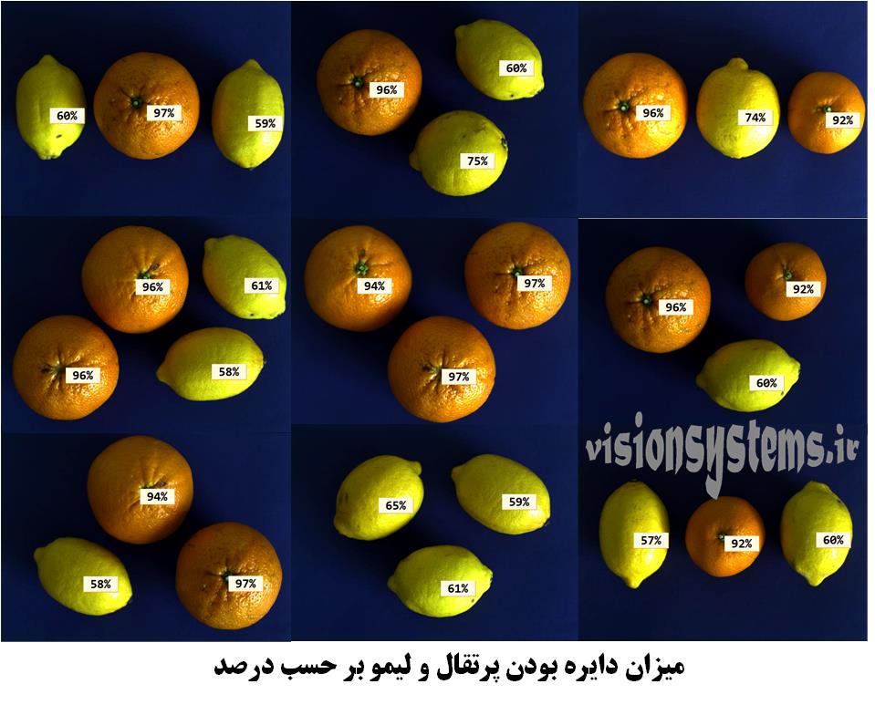 کلاس بنید ویژگی های پرتقال و لیمو بر حسب درصد