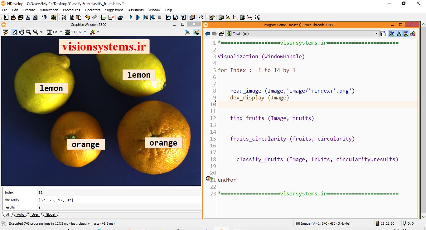 Fruit Classification