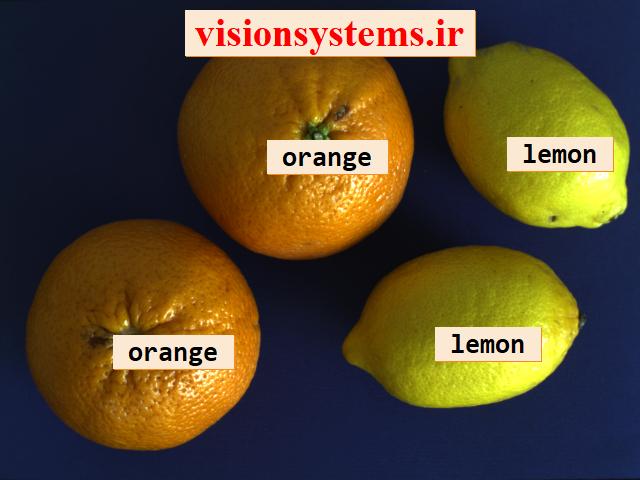 Fruit Classification