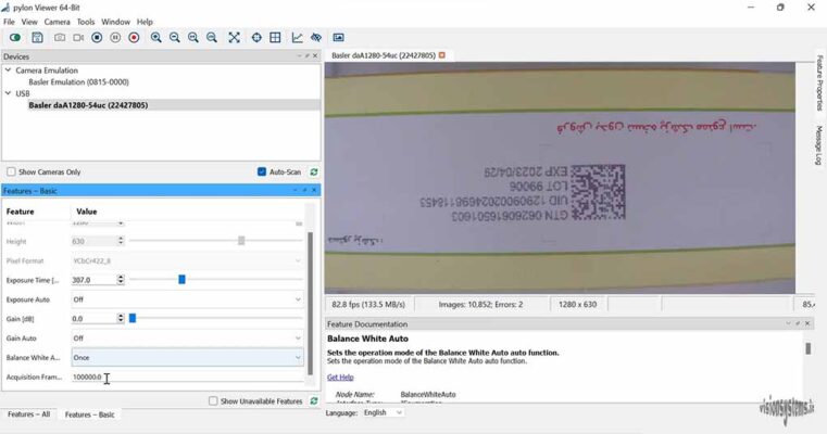 Basler Camera Configuration Tutorial with Pylon Software – شرکت بینا ...