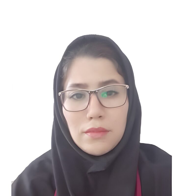 شرکت بینا پردازش سیستم – Bina Pardazesh Company