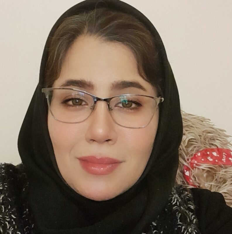 شرکت بینا پردازش سیستم – Bina Pardazesh Company