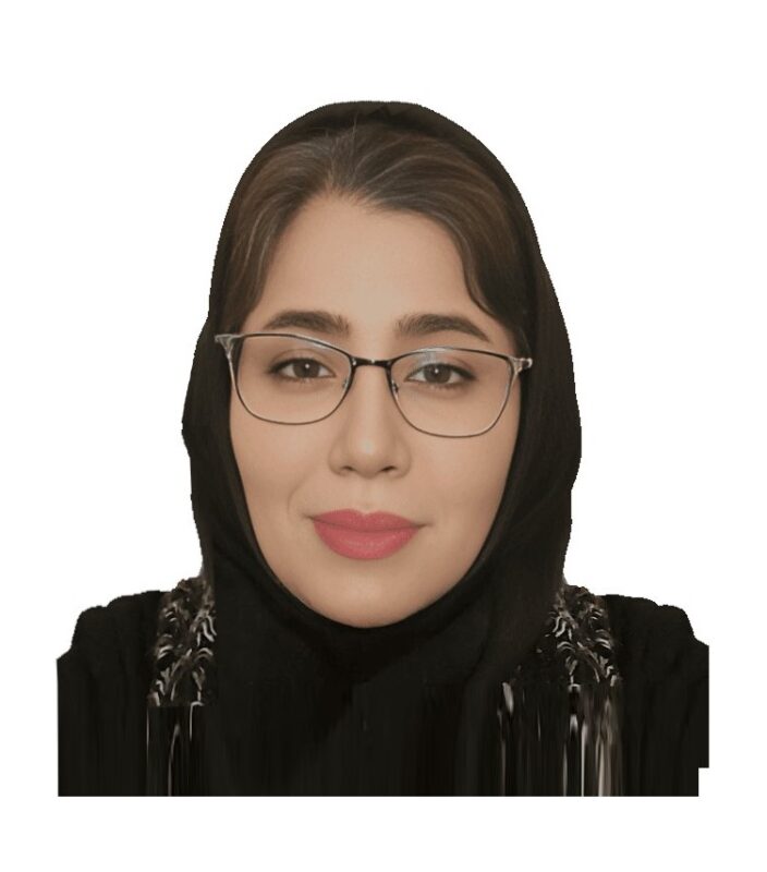 شرکت بینا پردازش سیستم – Bina Pardazesh Company