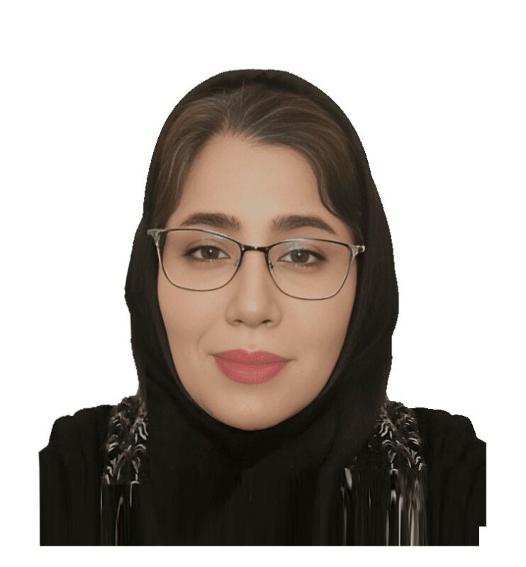 شرکت بینا پردازش سیستم – Bina Pardazesh Company