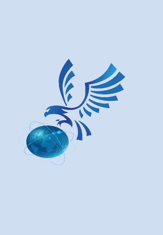 شرکت بینا پردازش سیستم – Bina Pardazesh Company
